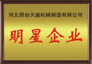 1997年：任县人民(mín)政府授予我公司张立军為(wèi)：明星企业家称号！